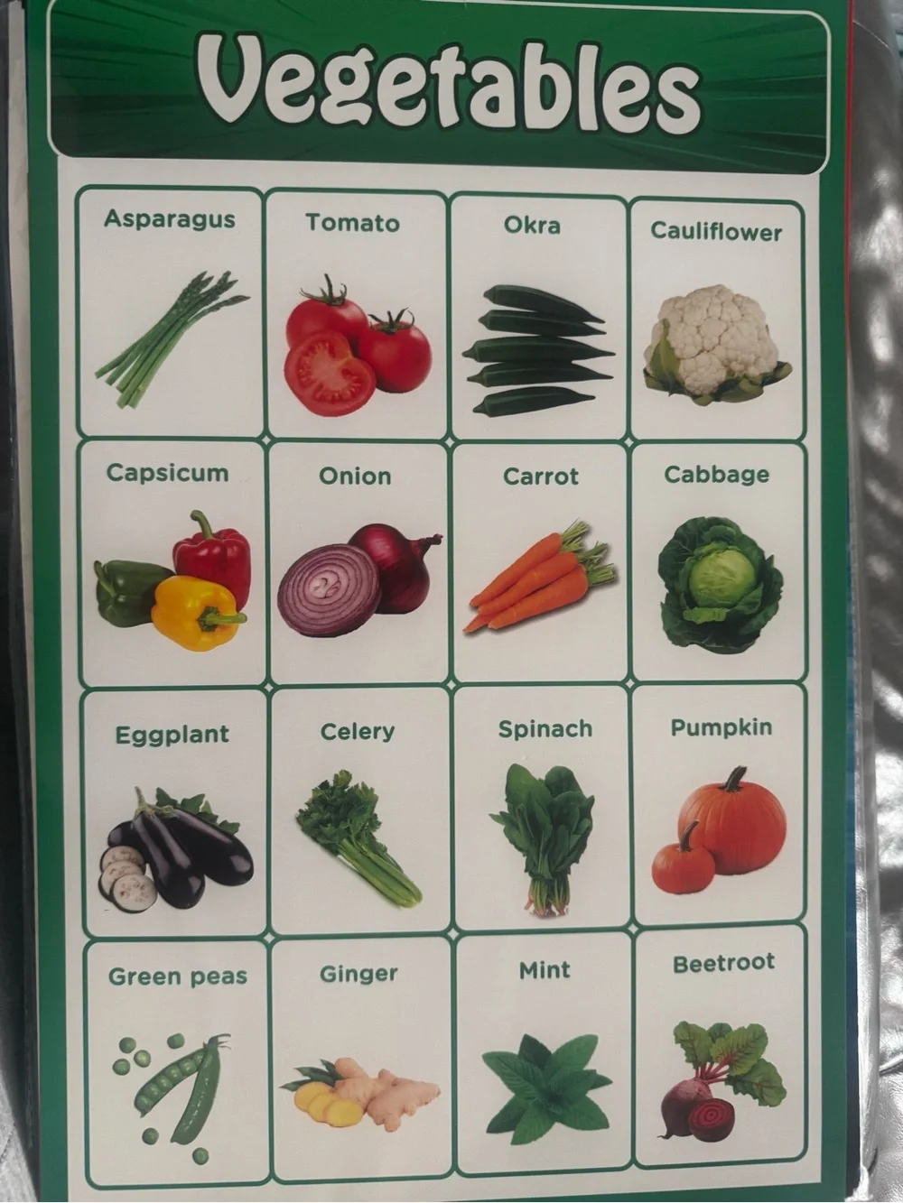 20 Pack Large Kids Laminated